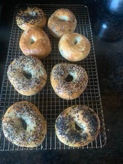 Bagel mania